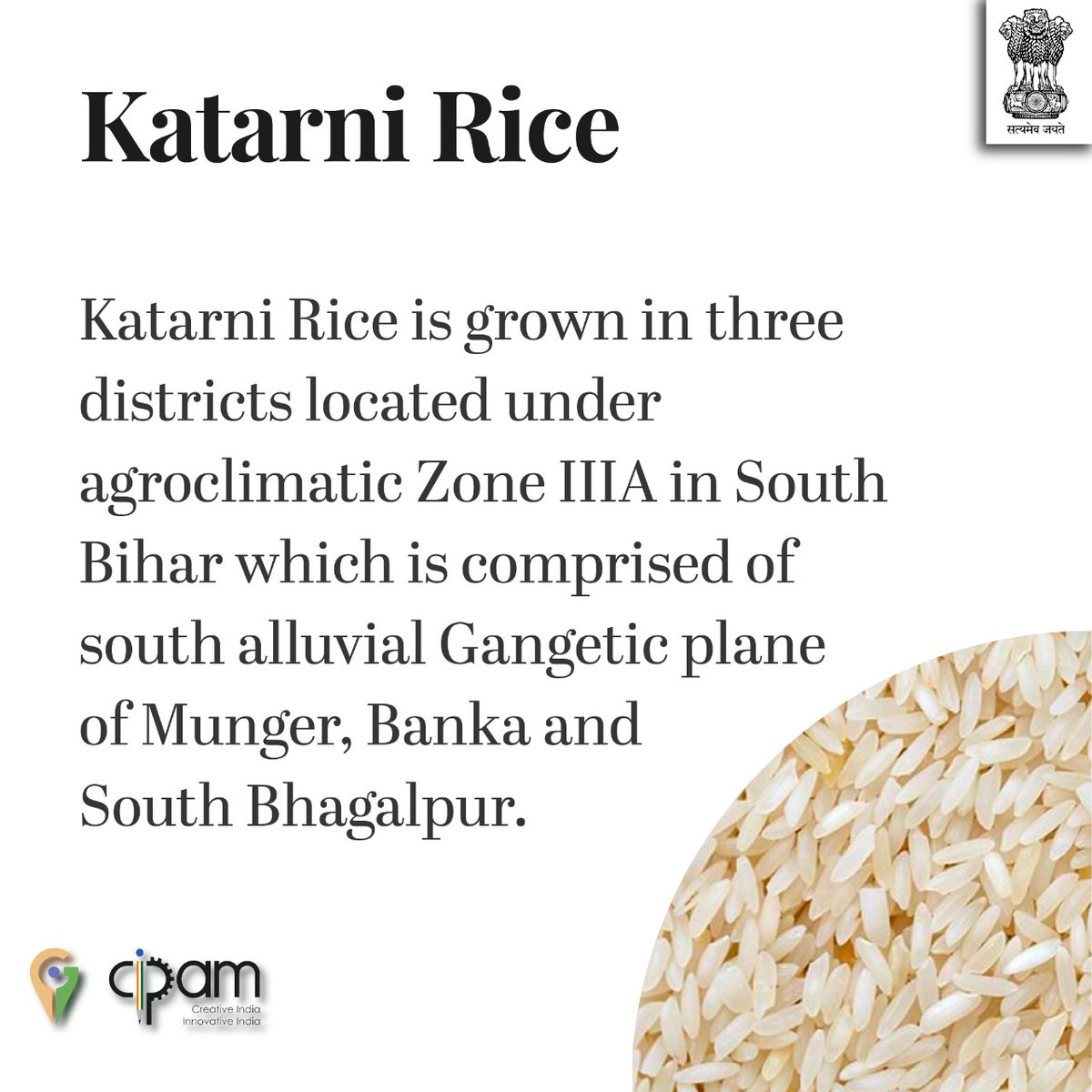 CIPAM_India's tweet photo. #KnowYourGI : आइये बिहार के इस भौगोलिक उपदर्शन 'कतरनी चावल’ के बारे में जानें कुछ खास बातें। #GisofIndia #WahGI #HumaraGI #LetstalkIP (3/4) https://t.co/zN6WS8hhzV