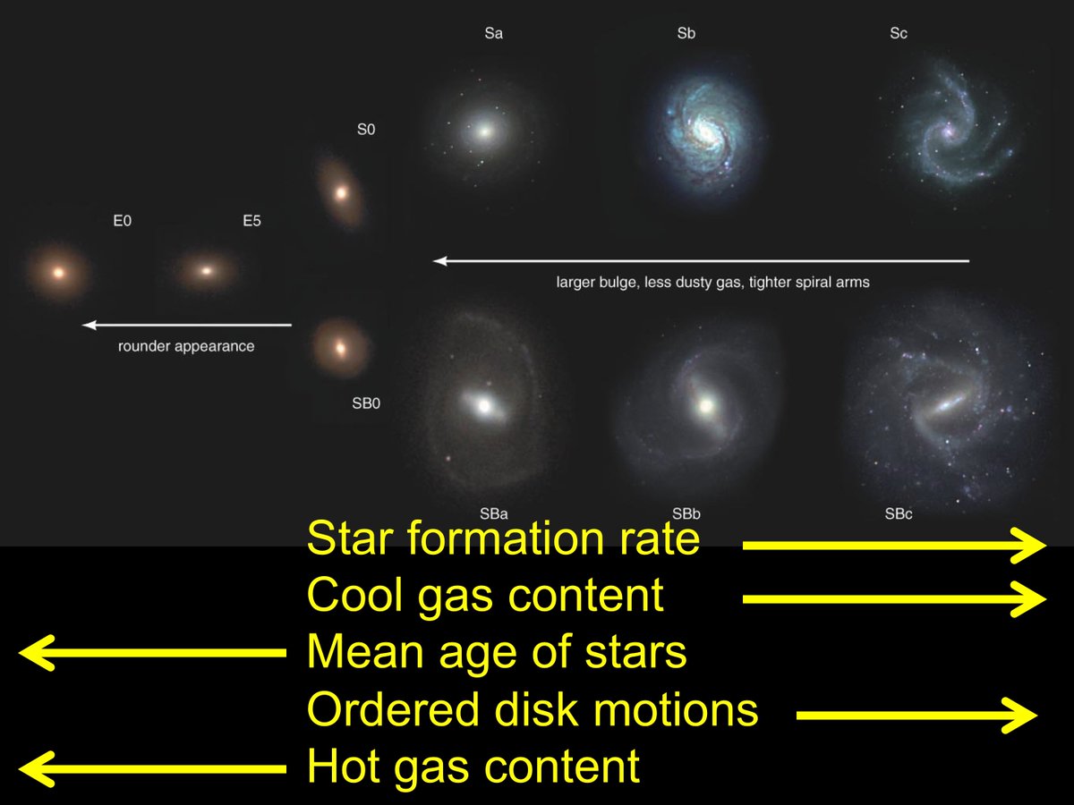 Today in   #BeyondSolSys class material - galaxy history. (Astronomers often speak of galaxy evolution - but as population change rather than descent w/modification, biologists and  @GrumpyKelson complain). Anyway, galaxies show patterns today. Why?