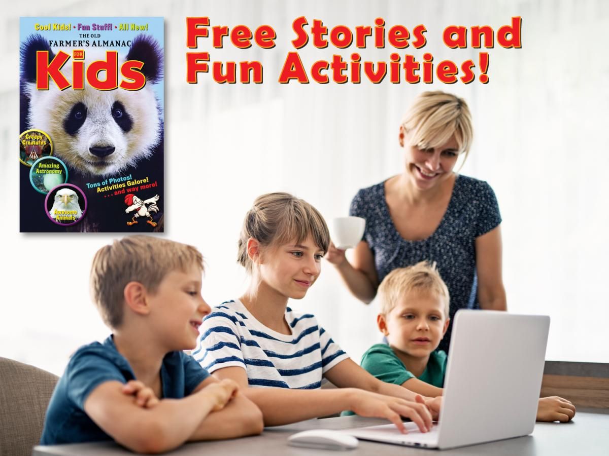 NLHGorg's tweet photo. #WhatToDoWithKids Wednesday via @FarmersAlmanac https://t.co/PbTaDnWJ9p https://t.co/wS1lpRdHHM