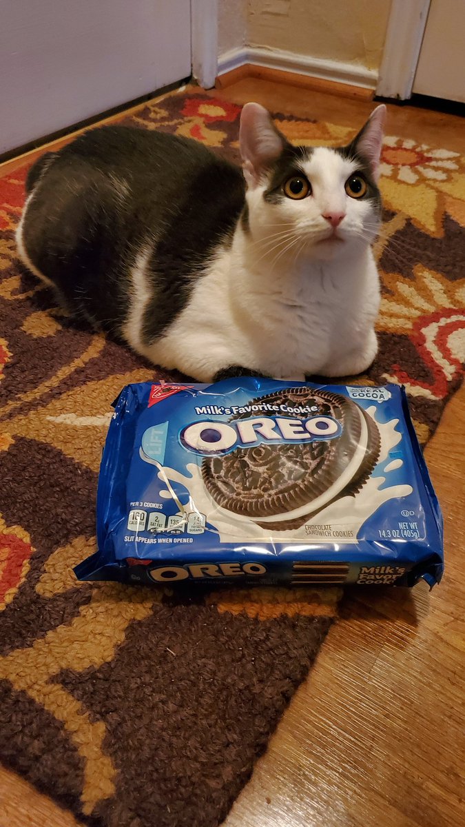 Rebecca Bottin tweet media