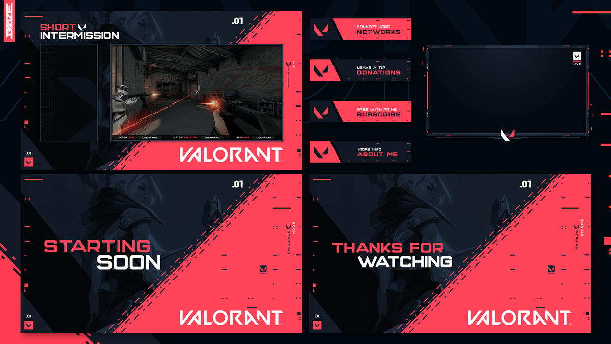 valorant overlay obs free valorant overlay obs free