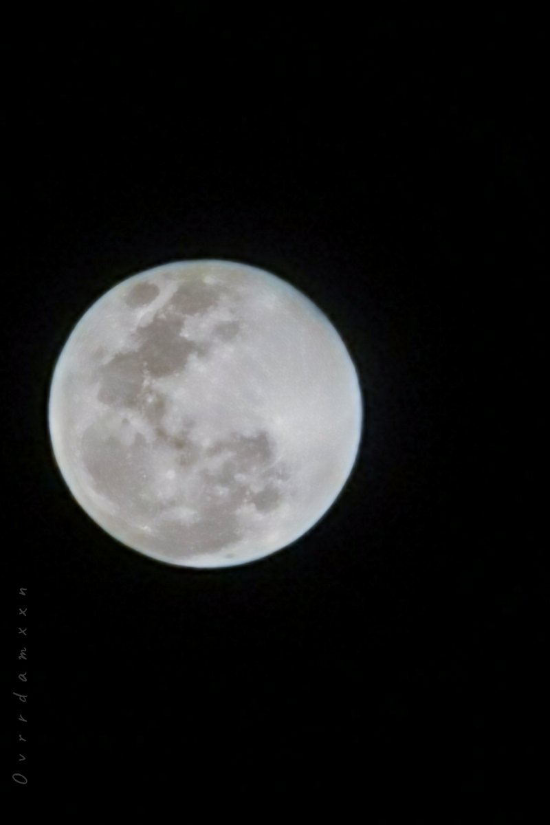 overdamxxn's tweet photo. My day ð
#supermxxn200408
#selenophile
#SuperFullMoon
#mxxnsnap #ovdm
#assxxnasmxxnsaw https://t.co/uvan6R6mtH