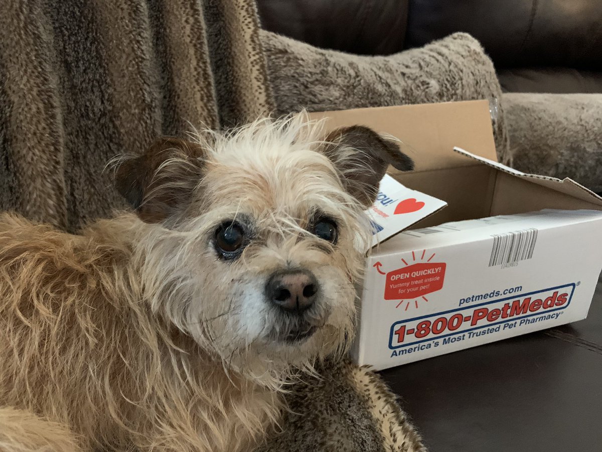 birdnerd65's tweet image. #PetMedsPet