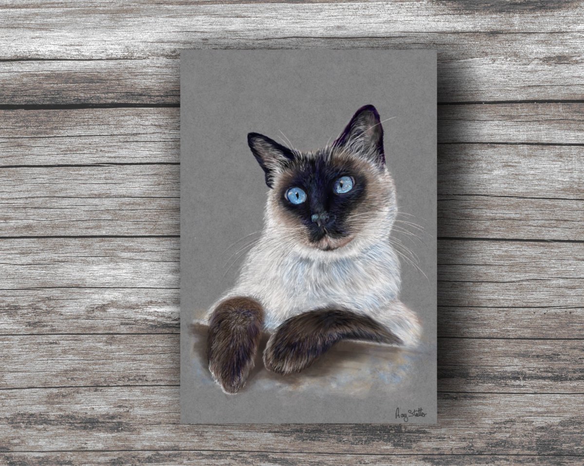 rayfineartist's tweet photo. Siamese cat colour pencil drawing more completed 💪🖼️🐱 https://t.co/G3uXqgwK9Q