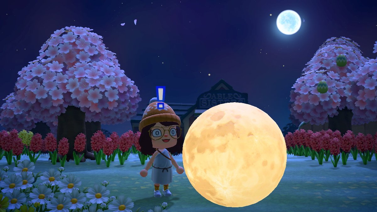canicechow's tweet photo. the moon fell from the sky?!?! #AnimalCrossing #ACNH #NintendoSwitch https://t.co/oJkrHngP5E
