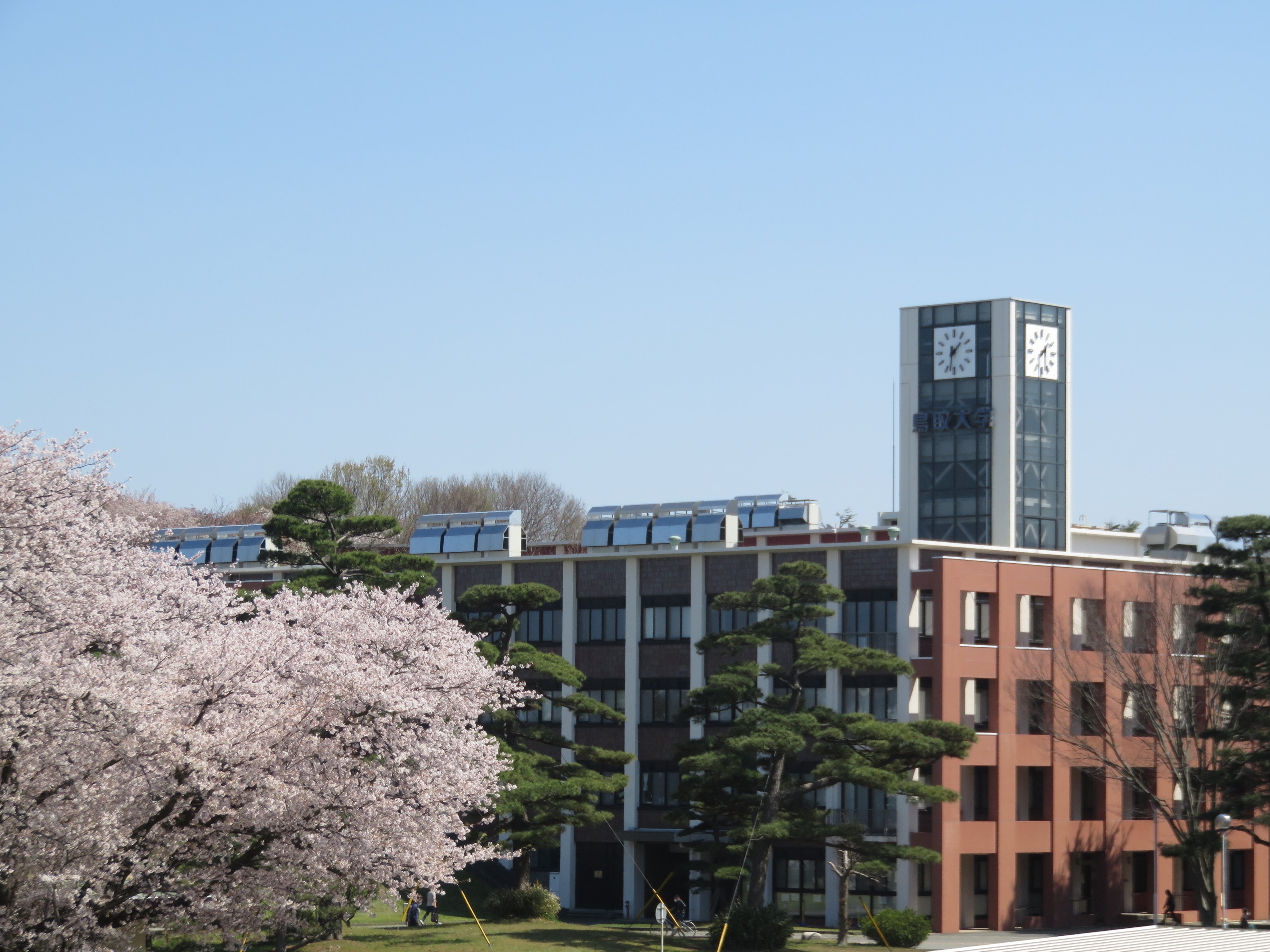 鳥取大学 学生広報スタッフ 鳥取キャンパス 桜の名所紹介 番外編 数回に分けて鳥取キャンパスの桜の名所を今年撮影した桜の写真とともにご紹介します 時計台と桜 エア花見 桜 さくら サクラ 春から鳥大 T Co Pefcngxx8q Twitter