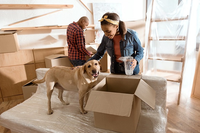 Top 5 Things to Consider When Buying a Home If You Are a Pet Owner keepingitrealestate.info/top-5-things-t…