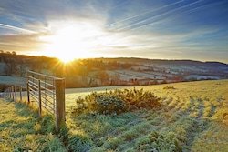 Lower Mill Estate tweet media