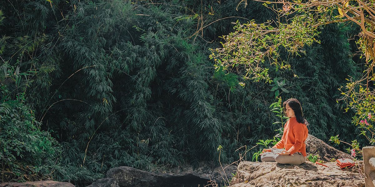 FNFocusRealty's tweet image. While there is no replacement for physical distancing, there are many ways to keep our immune systems, and spirits, running high while we're staying safe. 💖

ecowatch.com/boost-natural-…