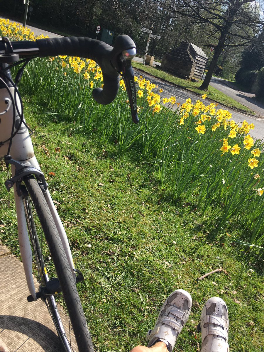 MASCheerteam's tweet image. Daily physical activity and breaths of fresh air to lift the soul. #keepactive #staysafe