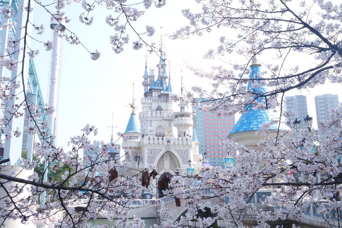 Seokchon LakeMy fav cherry blossom spot in Seoul I dont have much time to explore Seoul because Jinhae is my main destination so i only visit what i want too see, this magic castle view!!