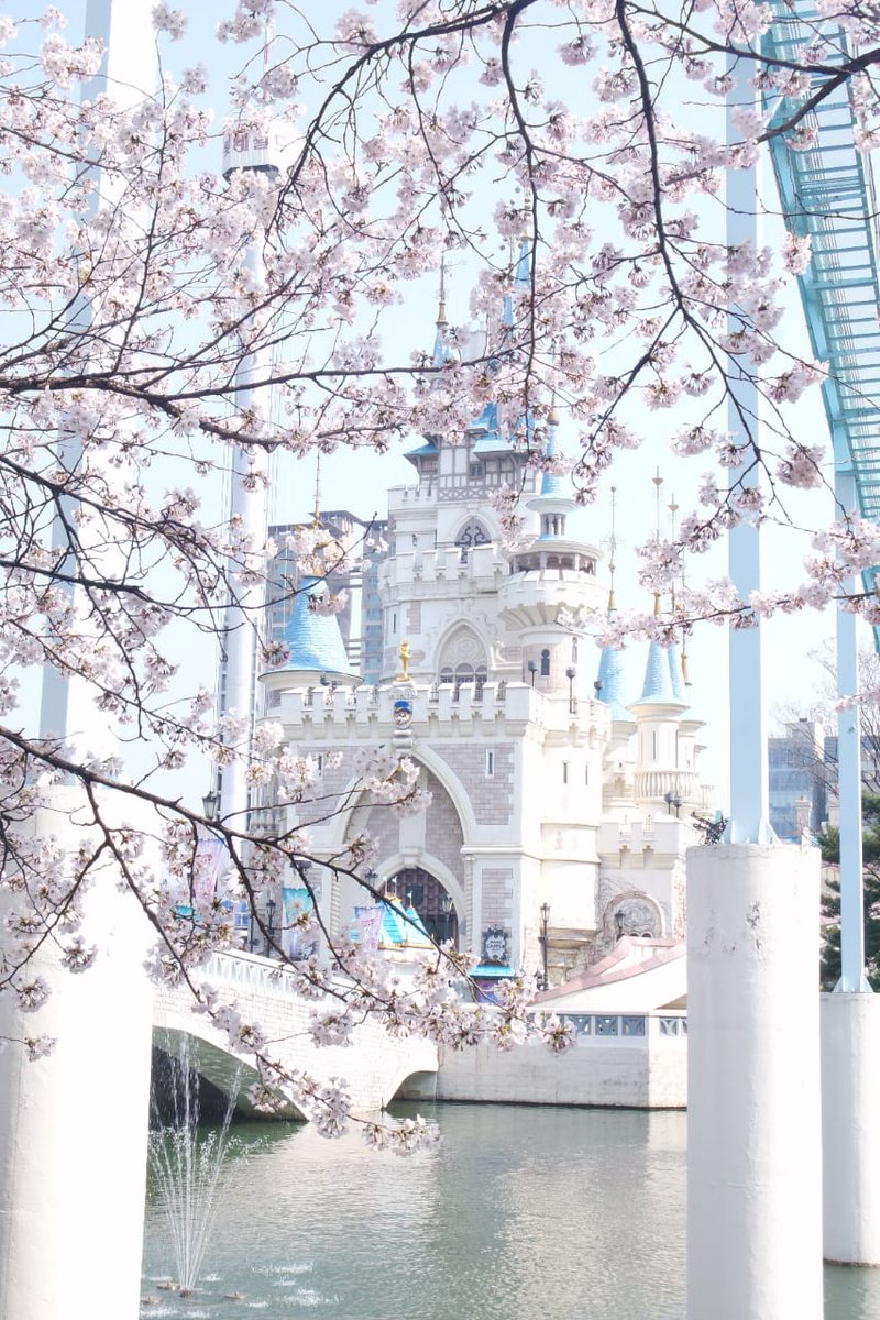 Seokchon LakeMy fav cherry blossom spot in Seoul I dont have much time to explore Seoul because Jinhae is my main destination so i only visit what i want too see, this magic castle view!!