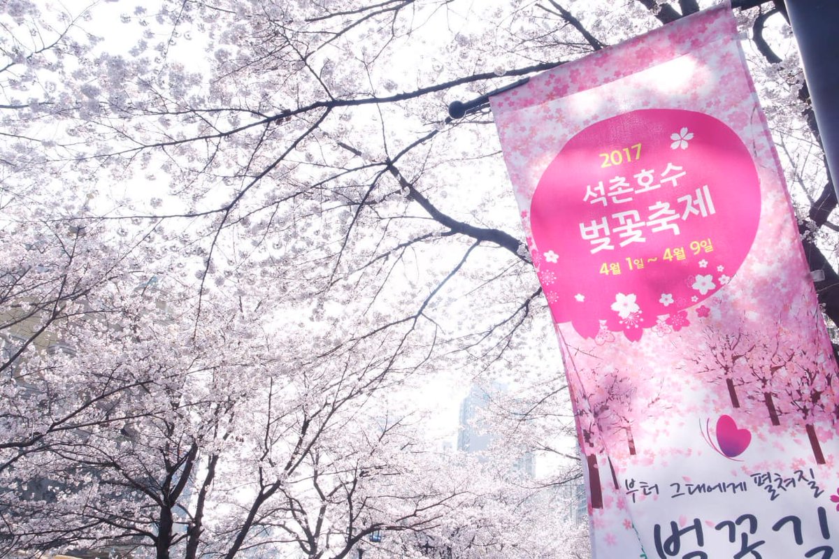 Seokchon LakeMy fav cherry blossom spot in Seoul I dont have much time to explore Seoul because Jinhae is my main destination so i only visit what i want too see, this magic castle view!!