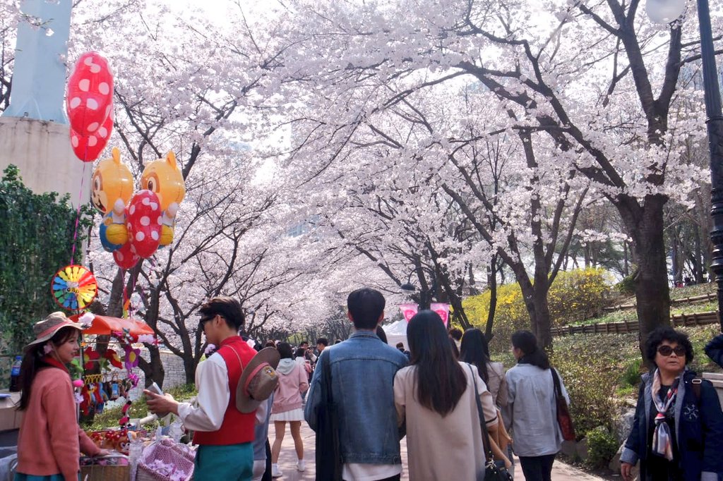 Seokchon LakeMy fav cherry blossom spot in Seoul I dont have much time to explore Seoul because Jinhae is my main destination so i only visit what i want too see, this magic castle view!!