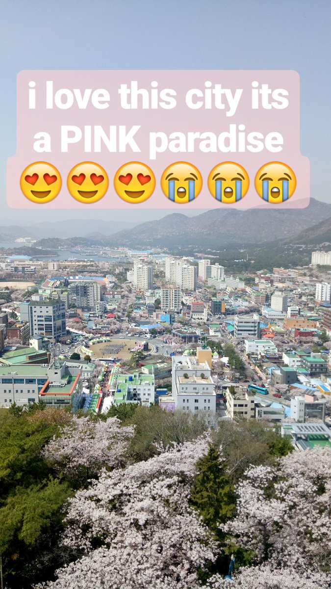 I would say, JINHAE IS A CITY OF CHERRY BLOSSOM! I never heard of any city that dedicated as much as Jinhae during Cherry Blossom Season. Jinhae has annual Cherry Blossom Festival for 57 years, usually held on April 1-10 every year. Sadly this year is cancelled due to covid-19 :(