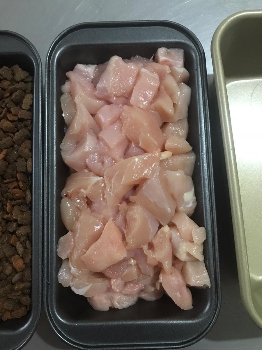 mascogourmet's tweet photo. Producto de primera calidad para tu mascota, sin huesos sin preservantes. Pídela a domicilio. 250gr por empaque. Consulta nuestros precios, combos de 5, 10, 15, 20 paquetes. #comidaparaperro #comida #mascota #Correa #dogfood https://t.co/kHsHiMe0su