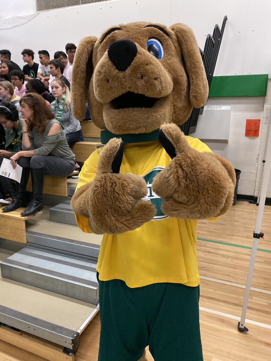 STMHS_cssd's tweet image. Don’t feel like Kermit, post your fav pics from #wearesaints this year, or get your family to post when they attended @StMarysHS_ccsd @StMarysSC @SaintsTV @SMTheatre_ccsd @SMHSMindsMatter @smyearbookccsd