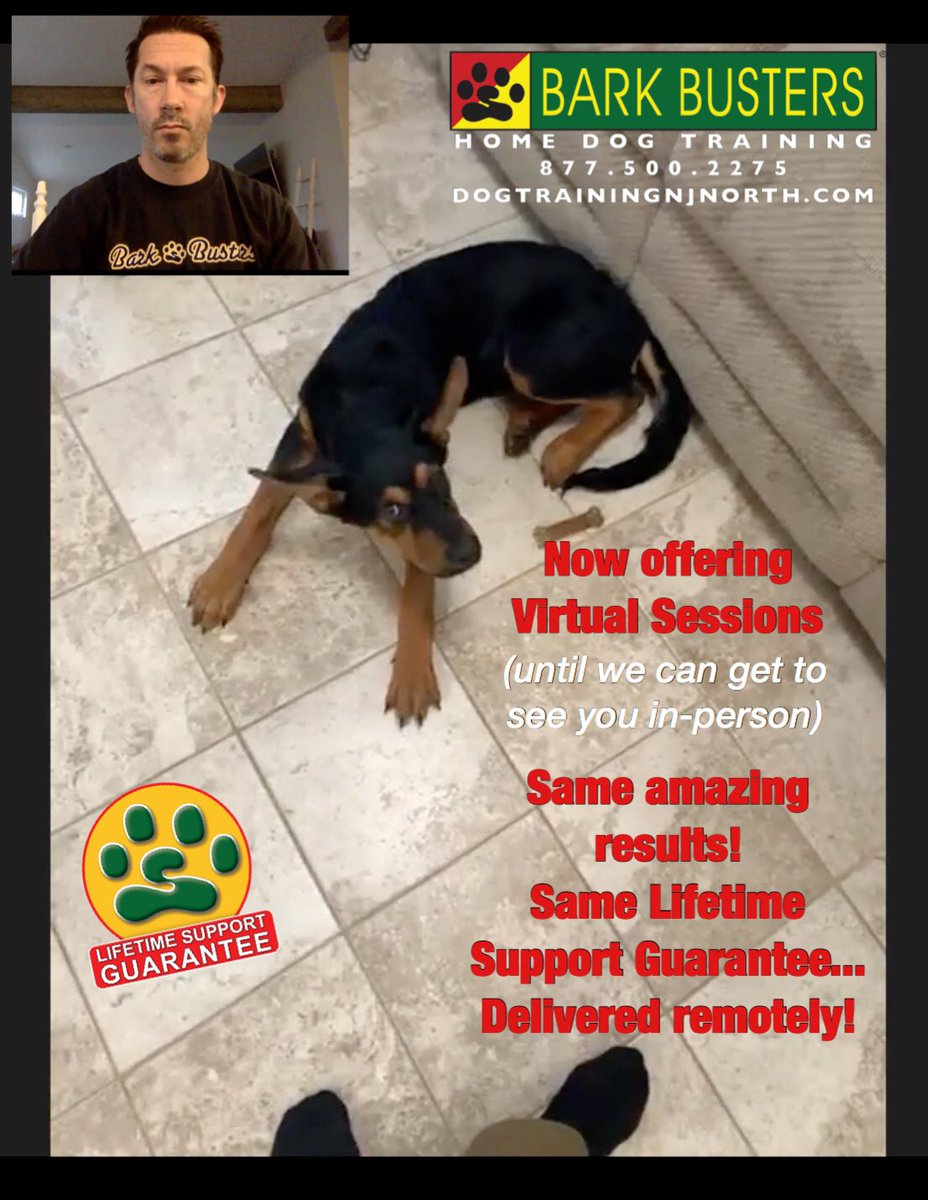 BarkBustersNJ's tweet photo. Did u know we can start #dogtraining remotely w/ an initial lesson (via #FaceTime, #Skype, #Zoom, etc)? If you need help with your #dog, while maintaining #socialdistancing from #covid_19, we can still help!
...and u will get in-person support when all is clear! https://t.co/HkoIumDRuN