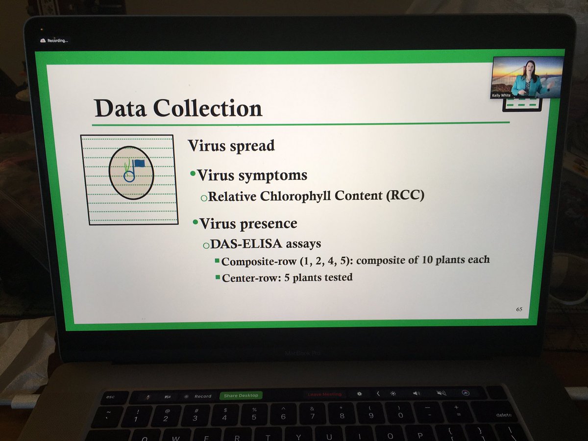estine_DPH's tweet photo. Watching @LOdownonWSMV give her Master’s seminar on Wheat Curl Mite Distribution. It’s so descriptive and really highlights the hard work she’s put into her project. 👍 https://t.co/XuFJw4e48P