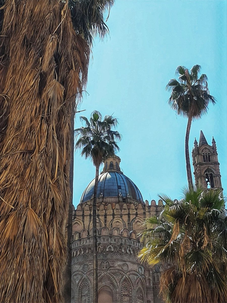 DiegoGelvis's tweet photo. #palemo #afternoon #architecture #photography #street @UNESCO @ComunePalermo @DomusWeb @aperturefnd @lensculture @rencontresarles @mep_paris @ParisPhotoFair @IL_FOTOGRAFO @EyesOpen_mag @MagnumPhotos @ICPhotog @WorldPressPhoto @Kodak @collettivowsp @TgrSicilia @NatGeoPhotos https://t.co/VAMIoLBJhQ