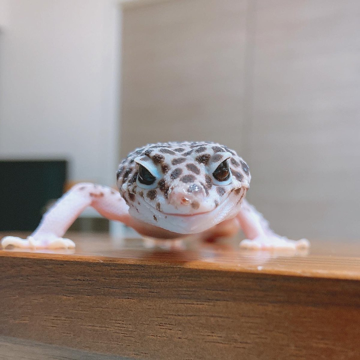 tropical6313's tweet photo. イケメンだこと…😳 https://t.co/8UwqGTBPde