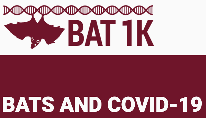 We created a list that you can access on our website here:  https://bat1k.ucd.ie/2020/04/06/bats-and-covid-19/ and we will keep this list updated. Not a  #Bat1K member yet? Simply sign up here:  https://bat1k.ucd.ie/sign-up/  and you will get access to all our material including our latest newsletter! 5/n