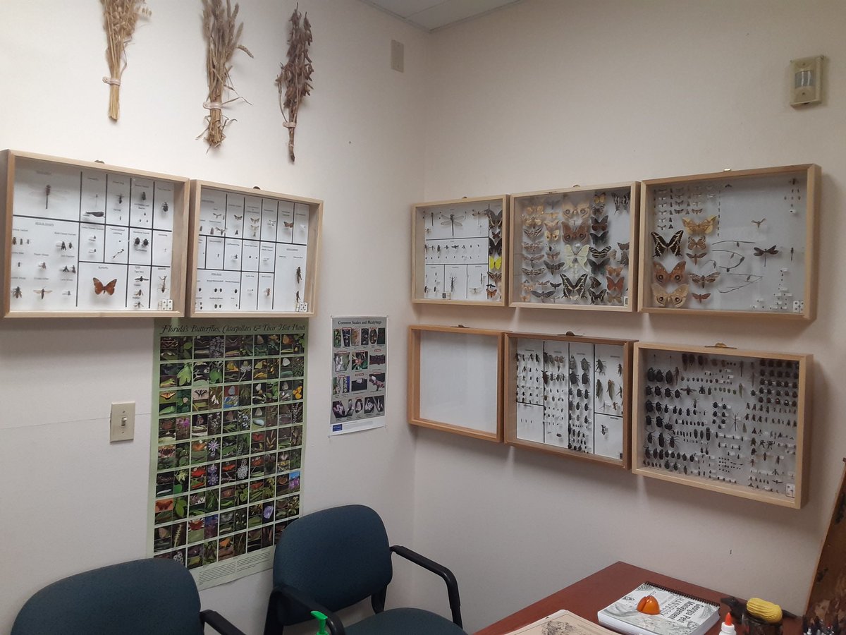 Cleaning up and organizing the office while I have time #ufbugs