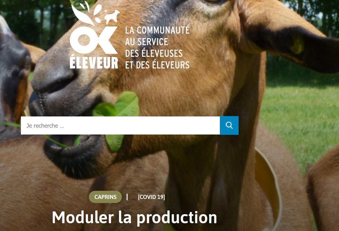 CharlotteDockes's tweet image. #Eleveuses et #Eleveurs Caprins
@OkEleveur vous propose des leviers concrets pour faire face à la crise du [#COVID19]
Venez chercher del'information ou poser vos questions
okeleveur.com/filiere/caprin…