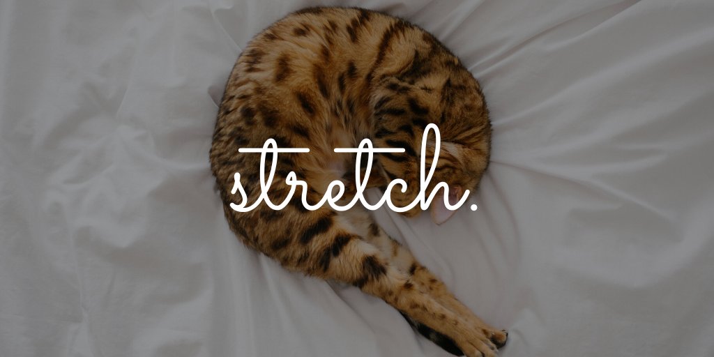ShahCbd's tweet photo. Cheers to rest days! Whatβs your favorite type of stretch?
#shahsaffroncbd #shahcbd #saffronoil #cbdoil #cbd #restday #physicalhealth #workout #stretch #postworkout #postworkoutroutine #cbdcream #painrelief #reduceinflammation #musclefatigue #musclesoreness https://t.co/MyTZymNqpO