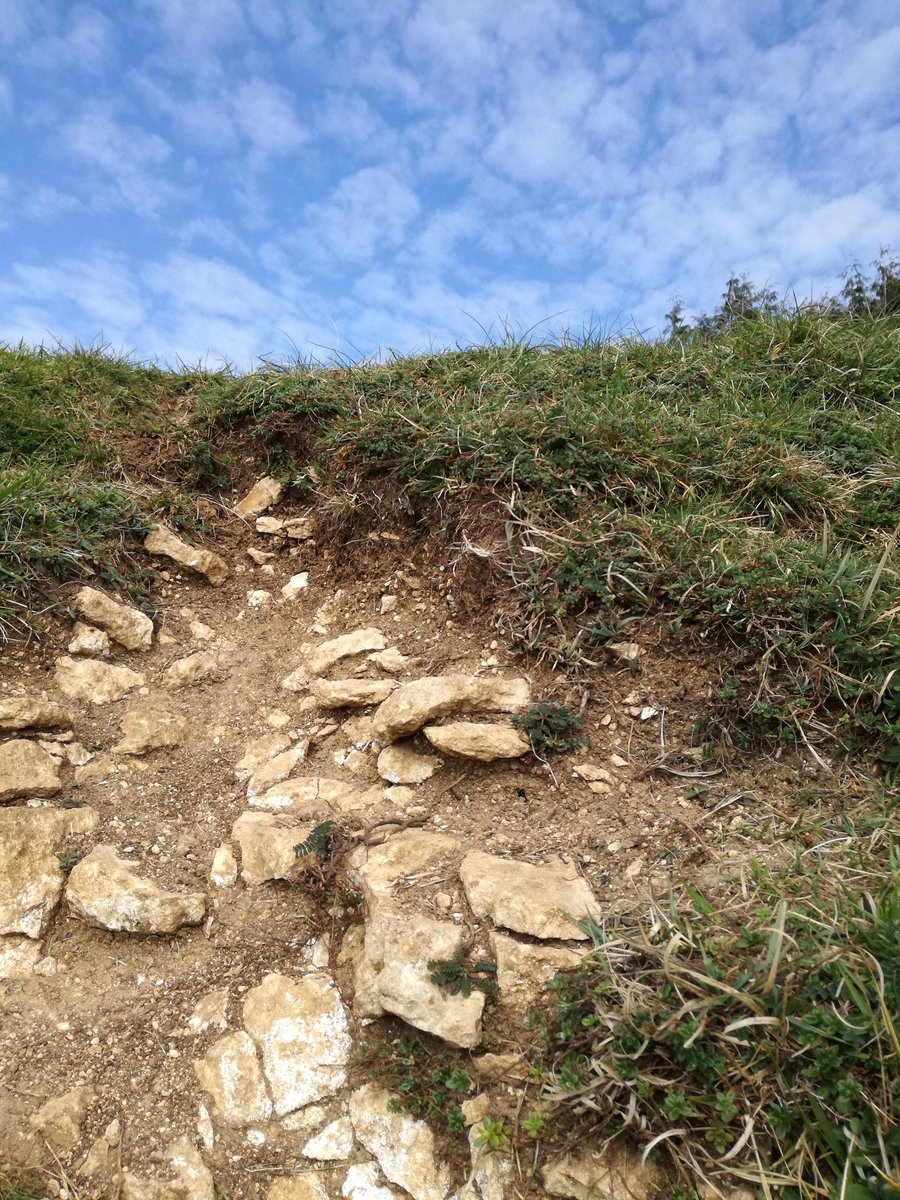 #soil profile fix on Rodborough Common on today's lunchtime walk #lockdown