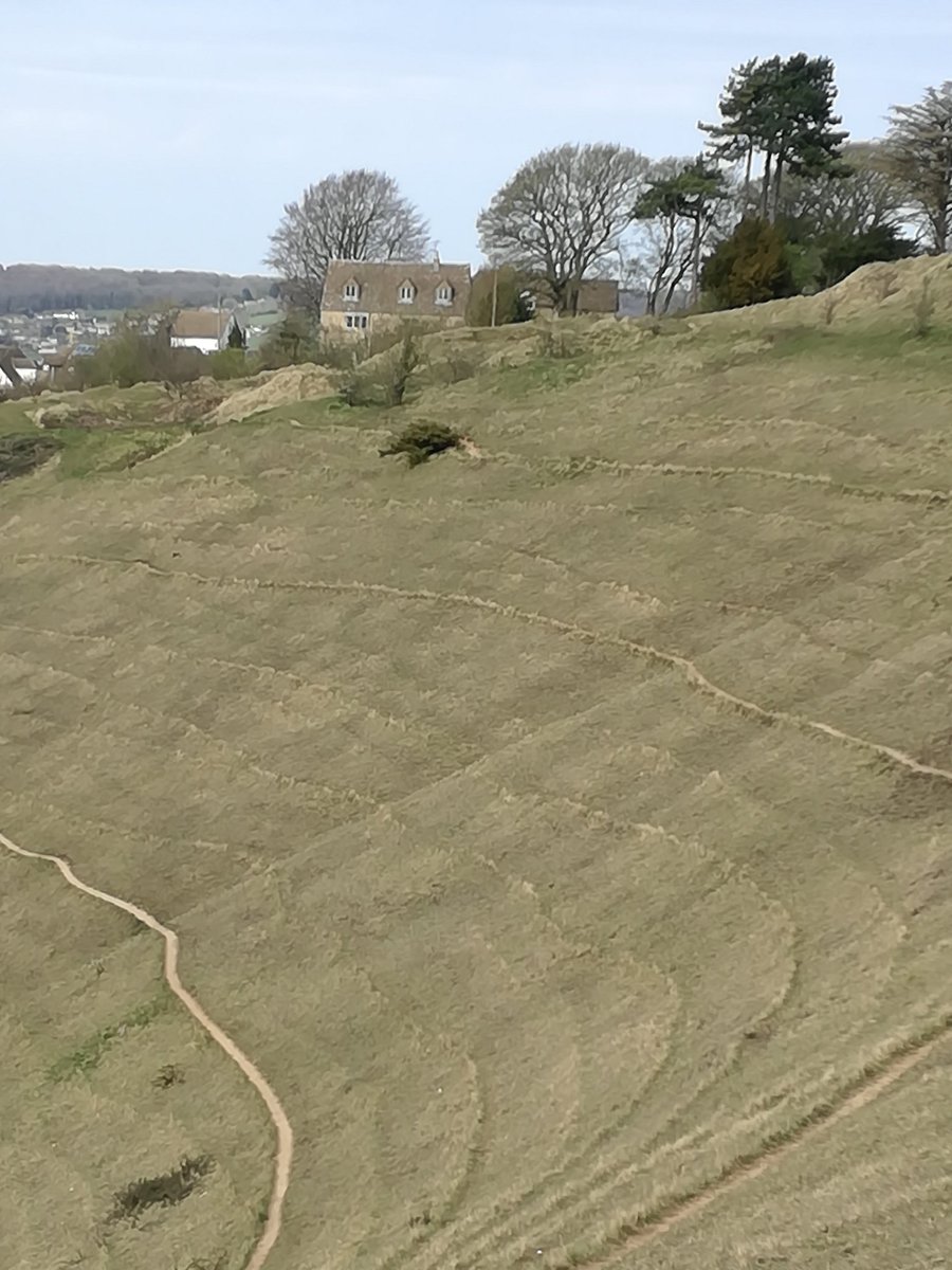 Along with some #soil creep