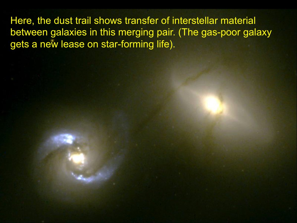 Even more distant encounters between galaxies can transfer material between them (as traced by the dust lane in NGC 1409/10 here). Also, these encounters affect star formation within the galaxies...  #BeyondSolSys