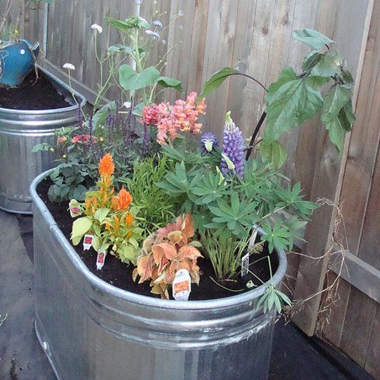 DCDPR's tweet photo. New Free Class ALERT!- #DPRUrbanGrower is updated! #StayHomeDC ->https://t.co/8QB0Gd5ns7 ... Social Distancing w/DPR- Learn about Container Gardens ...
Topics:
β Best Plants for Containers
β Container Growing Tips
β Types of Containers
β Drainage and Soil and more! #BeGreenDC https://t.co/pp8XTydr1F