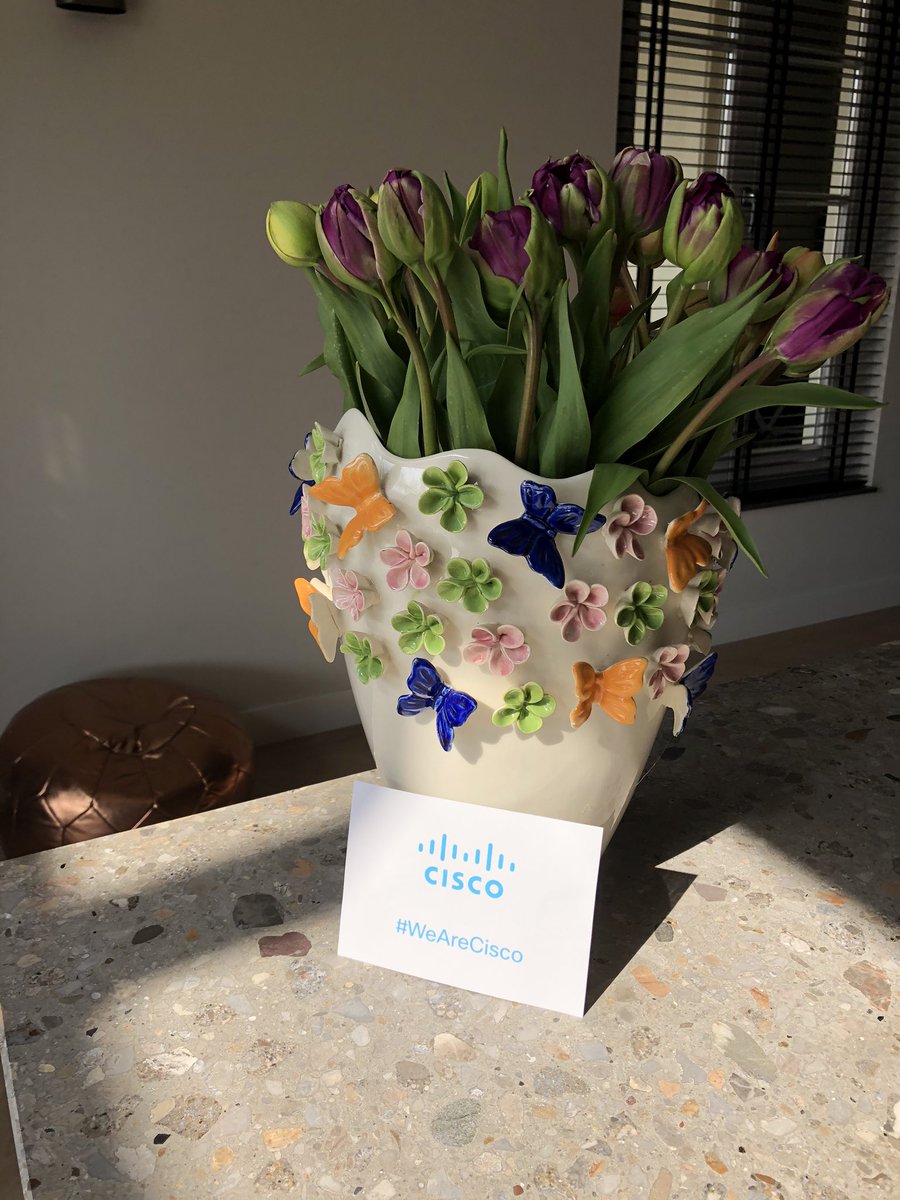 kvanheiningen's tweet photo. Thank you @CiscoNederland ....what a warm gesture, nothing beats 💐 #cisconl #LoveWhereYouWork #WeAreCisco https://t.co/gNba8sa9pk