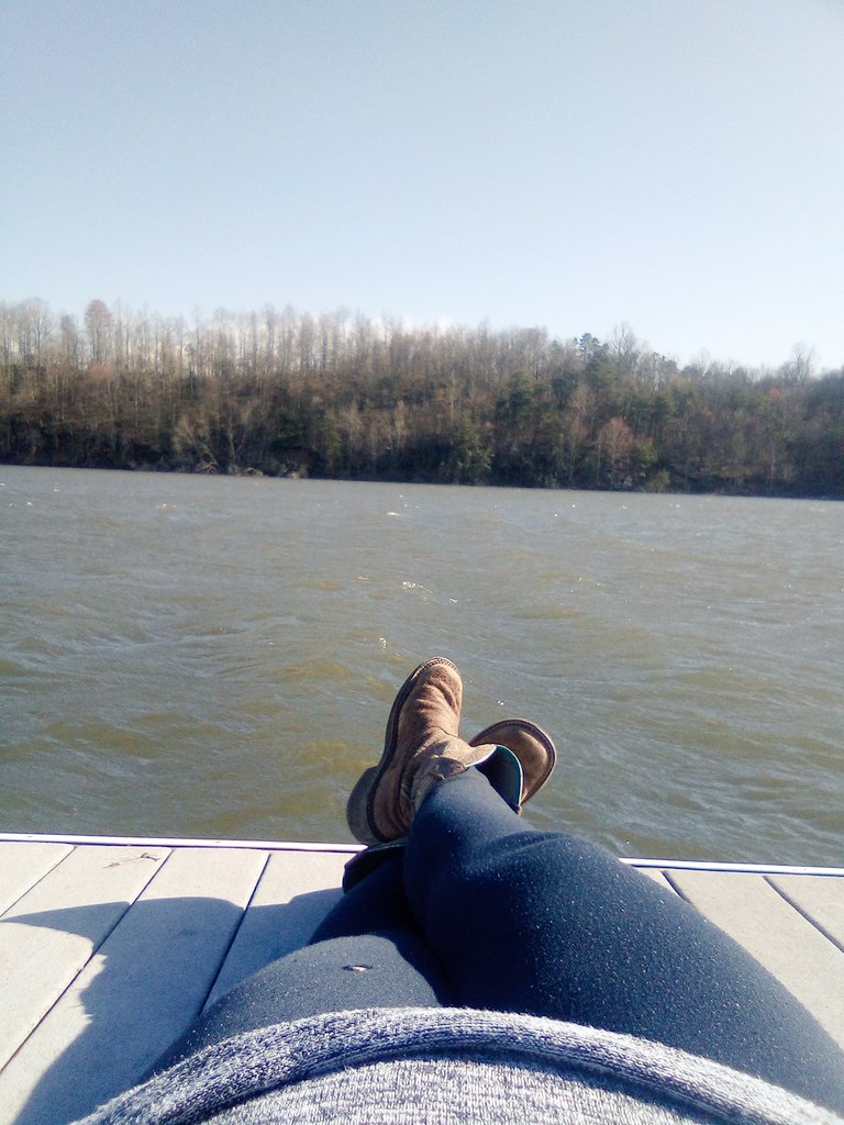 LittleBit_Foxy's tweet photo. How we've been spending the "quarantine". No people, no problem 👌🐟 #NonStopFishing https://t.co/K1owYZ5rvr