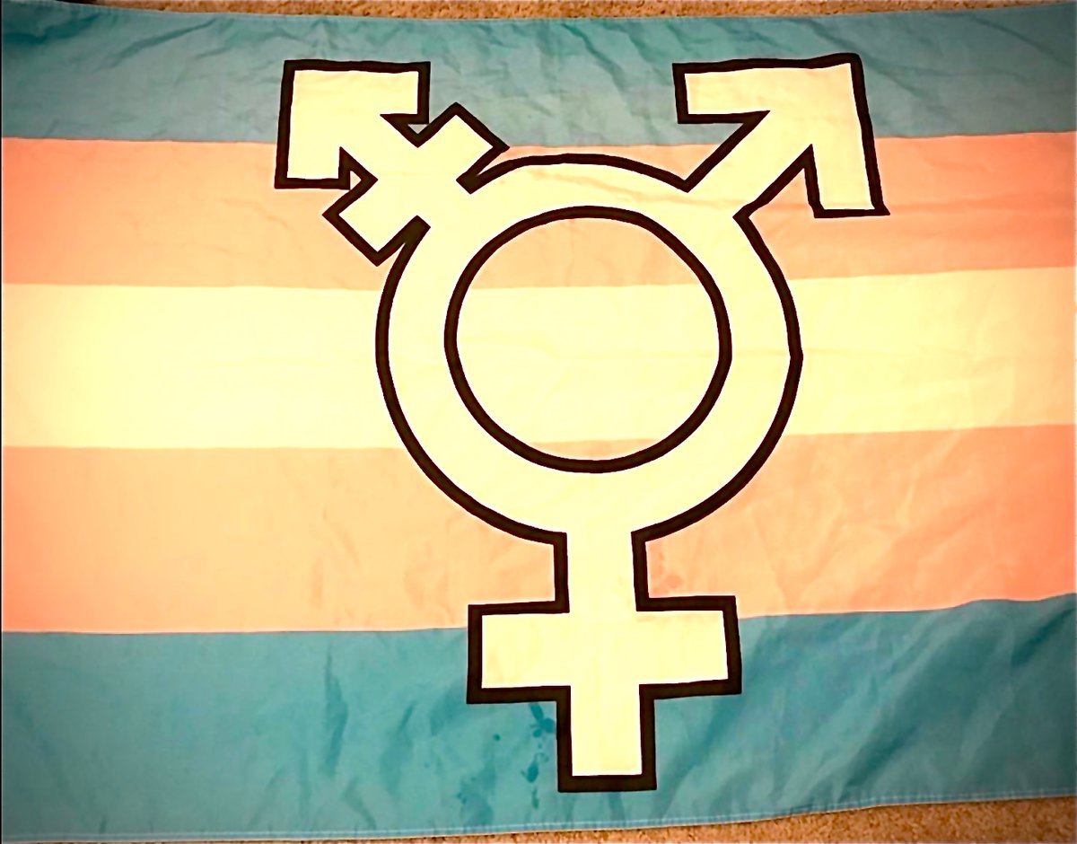 ⚧ 𖤐 🏳️🌈R. Righteous🏳️🌈 𖤐 ⚧ tweet media
