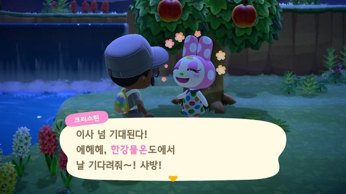 타임슬립과 무에 대한 질문 드려욥! | 모여봐요! 동물의 숲 | Ruliweb