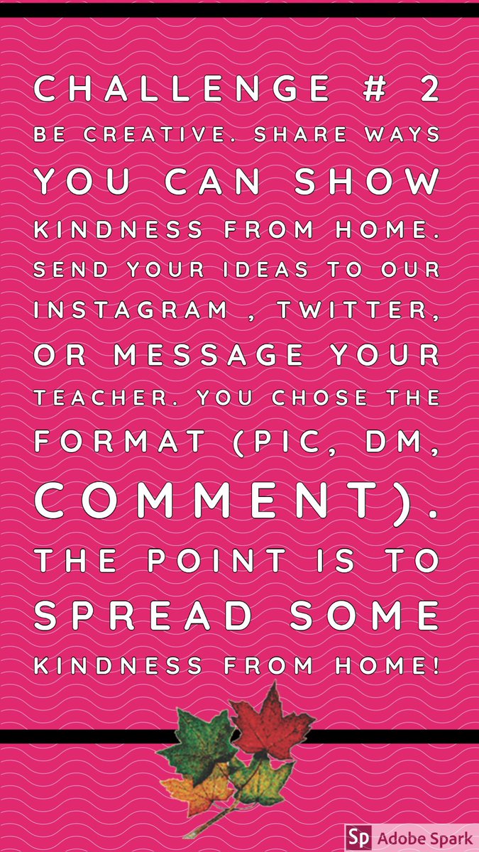 mapleleaf_wsd's tweet photo. Hey Maple Leaf, Happy International Day of Pink #InternationalDayofPink https://t.co/Wqe91oY5iK