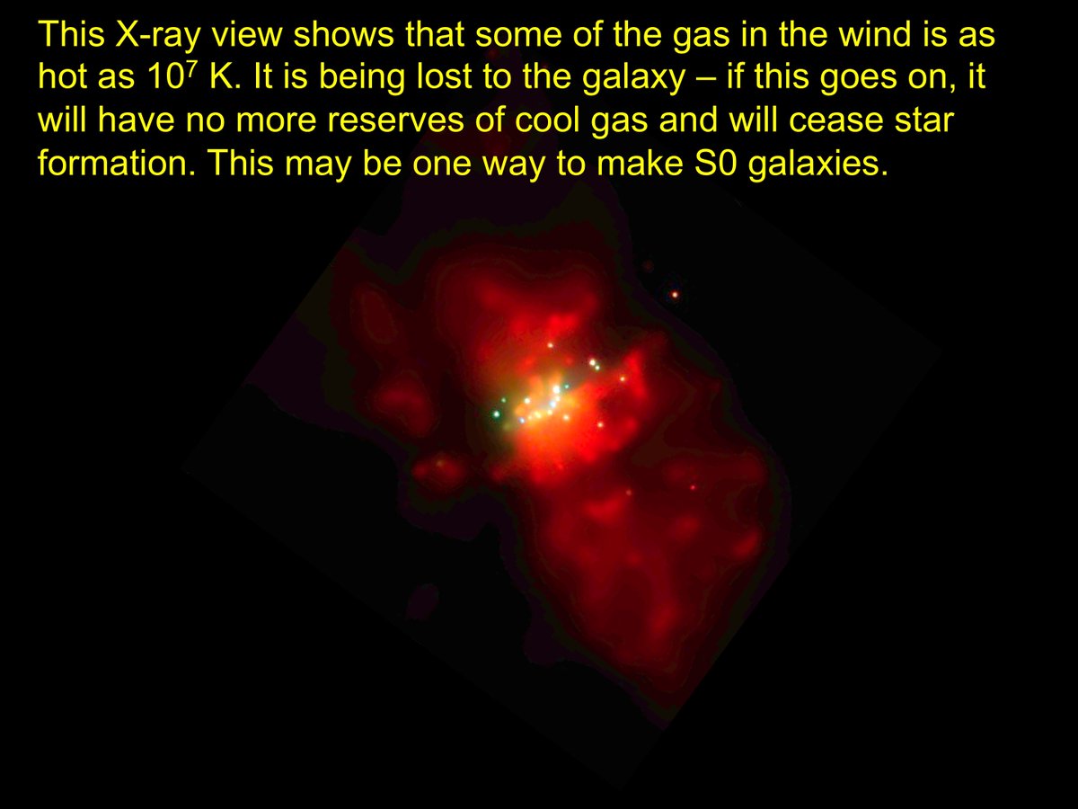 Along with redistributing the stars, accompanying starbursts can further transform, the remnant galaxy. Energy input from massive stars + supernovae can blow away cold gas needed for star formation, shutting it down. M82 is the nearest case; X-rays show gas >10^7 K.  #BeyondSolSys