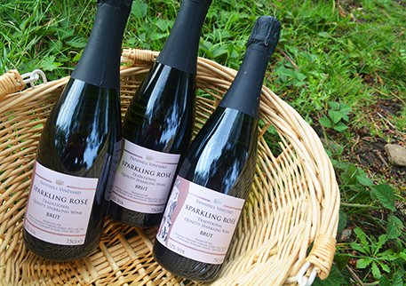 Painshill tweet media