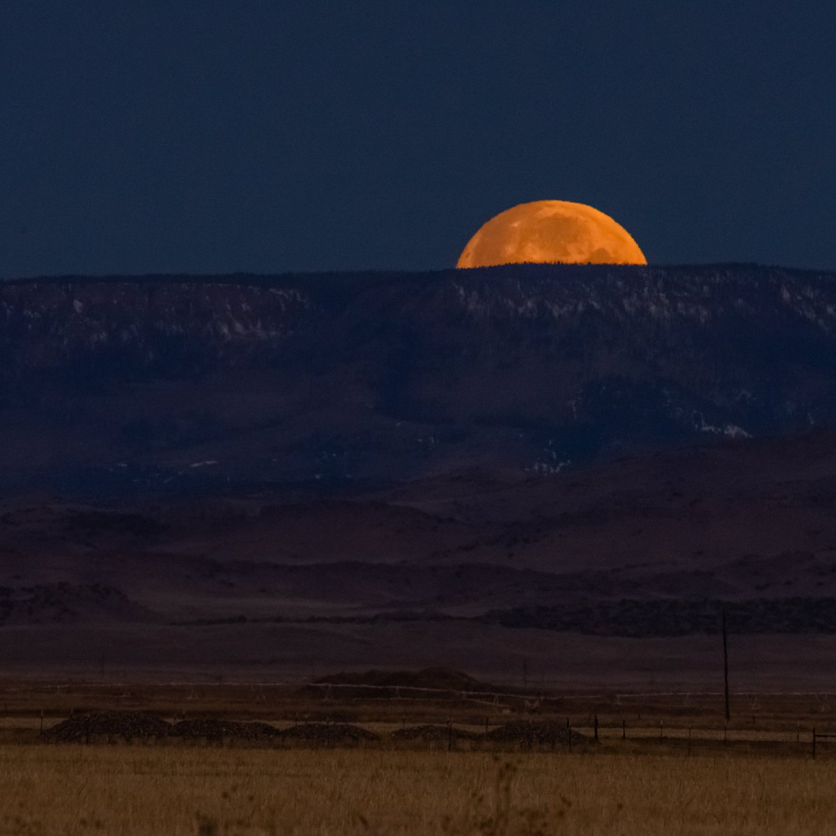 evrglomedia's tweet photo. Good Morning Moon 🎴
#sanluisvalley #colorado #fullmoon https://t.co/VM8HrkBgs0