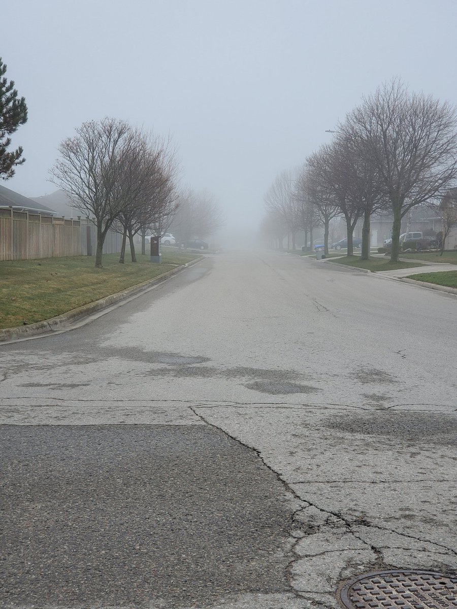 F3inGoderich's tweet photo. Knocked off another #2kwalk #bestwalkingbuddy #BostontheGSD #foggy #eerie #quiet #nooneout #ShareYourWeather @Northern_Ozbird @MurphTWN https://t.co/kmSP7L7G9r