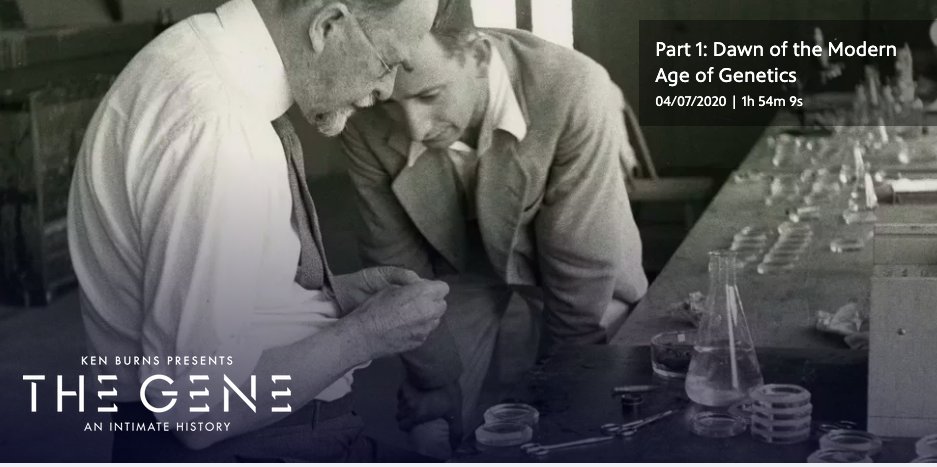 LazareScience's tweet photo. Just released!!!! The Gene: An Intimate Story @mspopelhs @MS_CARRILLO_BIO @SheltonBiology @LanierBiotech #lhsscienceforall
https://t.co/vUbnWtpOe4 https://t.co/Lrkie5iEvF