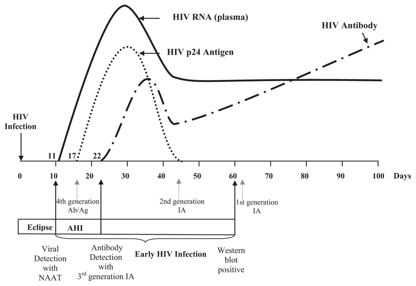 Here are the diagnostic windows for HIV. Imagine you're testing for p24 antigen by immunoassay.You can detect it between day 22 and day 45. Not before, not after.You can be viral RNA (+), antibody (-), and antigen (-) day 11-17.