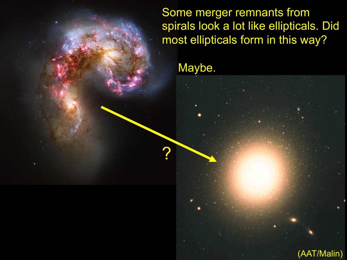 Combination of gas sweeping by galactic winds and redistribution of stellar orbits led Alar Toomre in 1977 to propose "merger hypothesis" - are most or all elliptical galaxies the outcome of merging spirals? Sometimes. Maybe often.  #BeyondSolSys