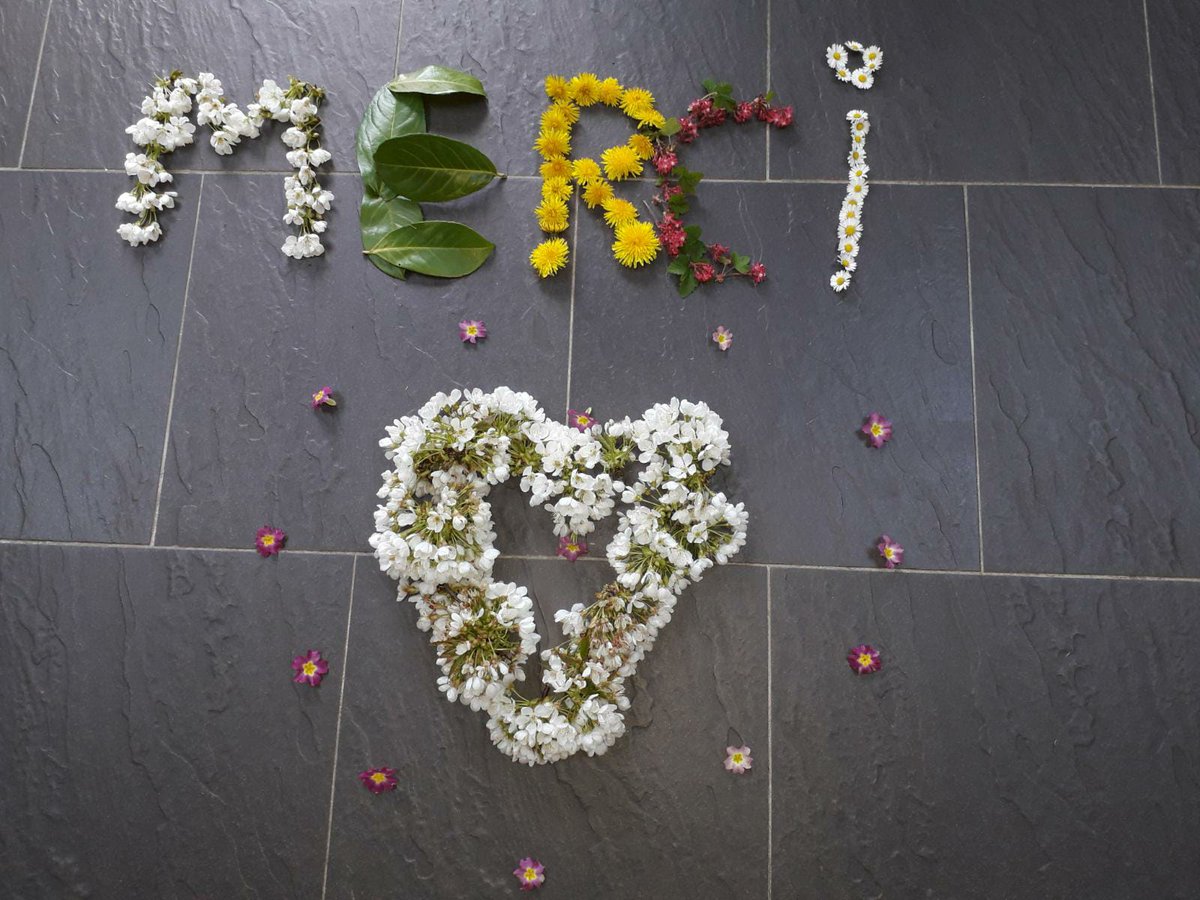 Houem Mehdi tweet media