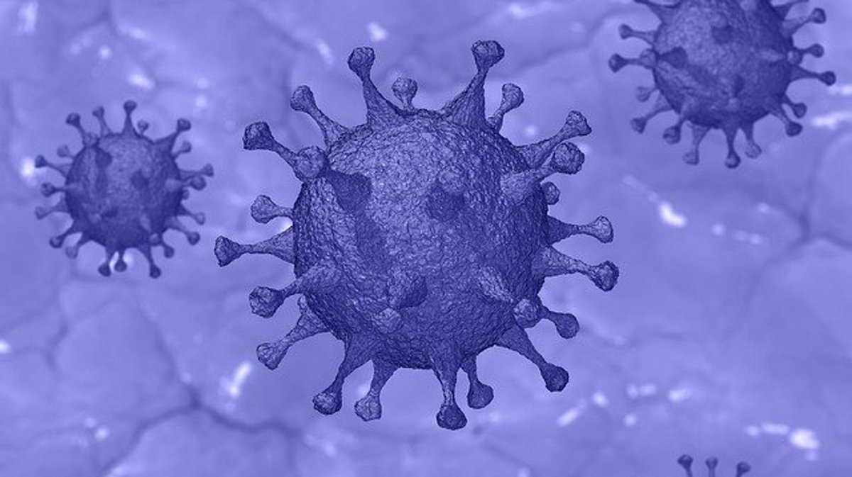 awtonline's tweet photo. See how coronavirus is impacting drinking water: https://t.co/fzXfVq74x6 https://t.co/UX48SQYaFa