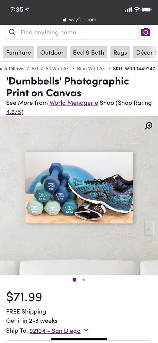 stupcake's tweet photo. I have been desperately searching the internet for dumbbells so I can stop using wine bottles and 30-racks of Bud Light for workouts (not because it’s trashy but because my supply is dwindling), and the closest thing I can find is a $72 canvas print of dumbbells on wayfair 🙃 https://t.co/Am9w4g9mPy