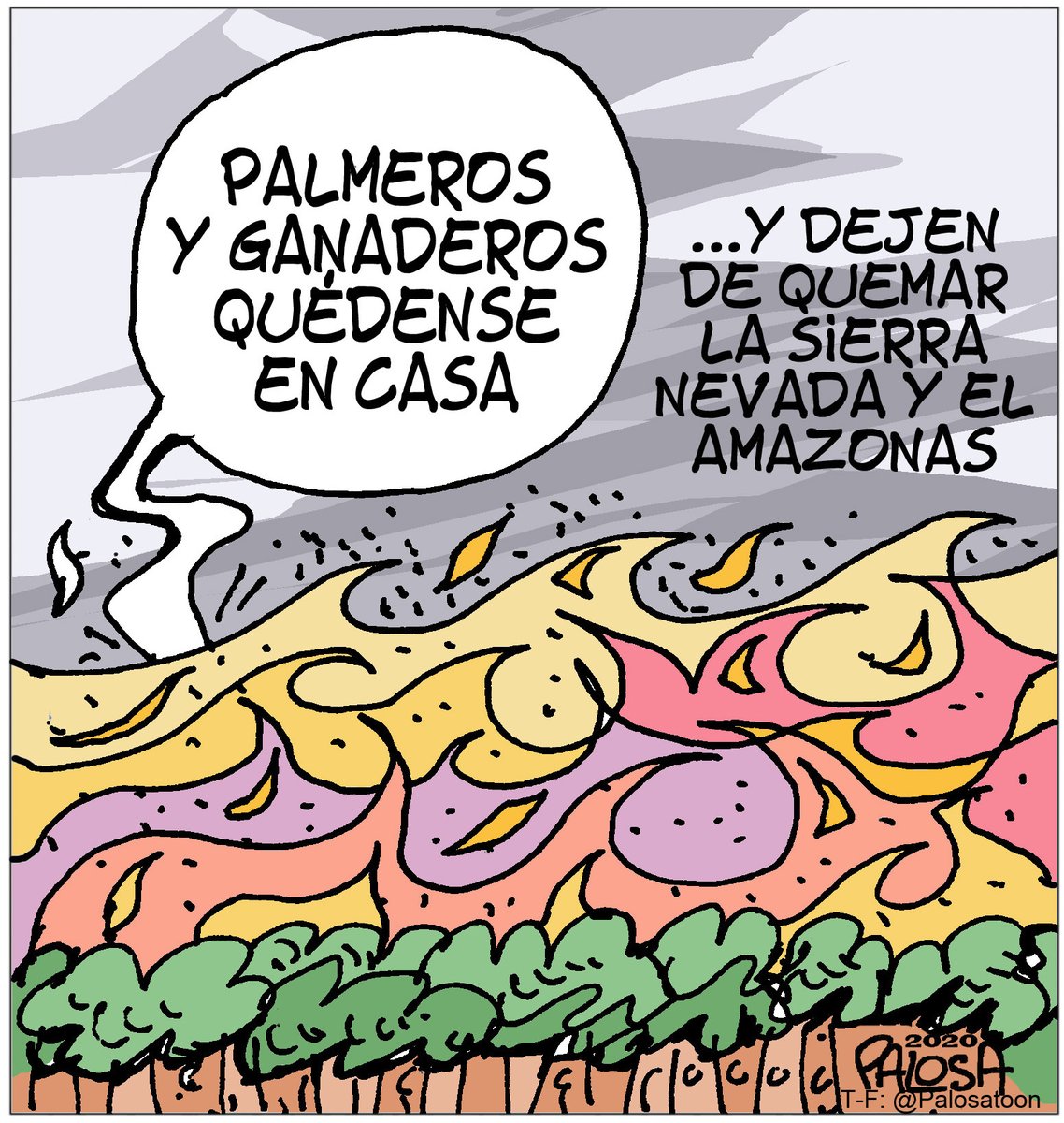 ECOCIDAS RECONOCIDOS
#Ecocidio #Palmeros #DepredadoresAmbientales #Ganaderos