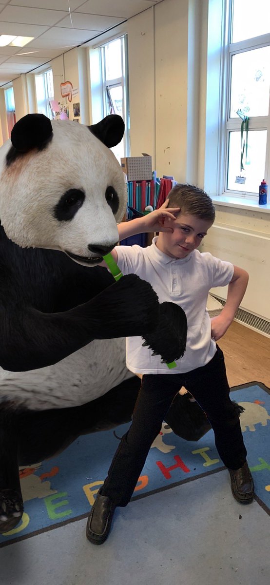 MeadowsidePop's tweet photo. The children were shocked to find some special visitors in @MeadowsideCPSch today 🐼🐺🐴🐙 #MeadowsideComputing #MeadowsideEnglish #writingprompt https://t.co/Gm1iwghQyD